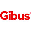gibus